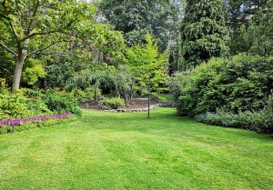Optimiser l'expérience du jardin à Neuville-en-Ferrain